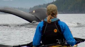 Kayaking with Whale